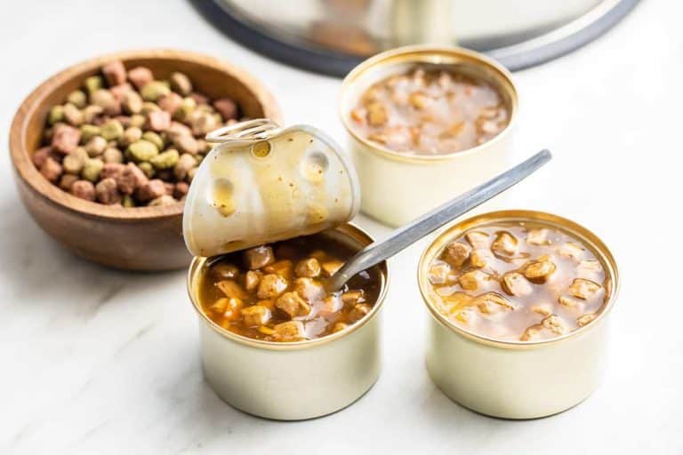 Jaka mokra karma dla maine coona