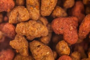 Jaka sucha karma dla maine coona